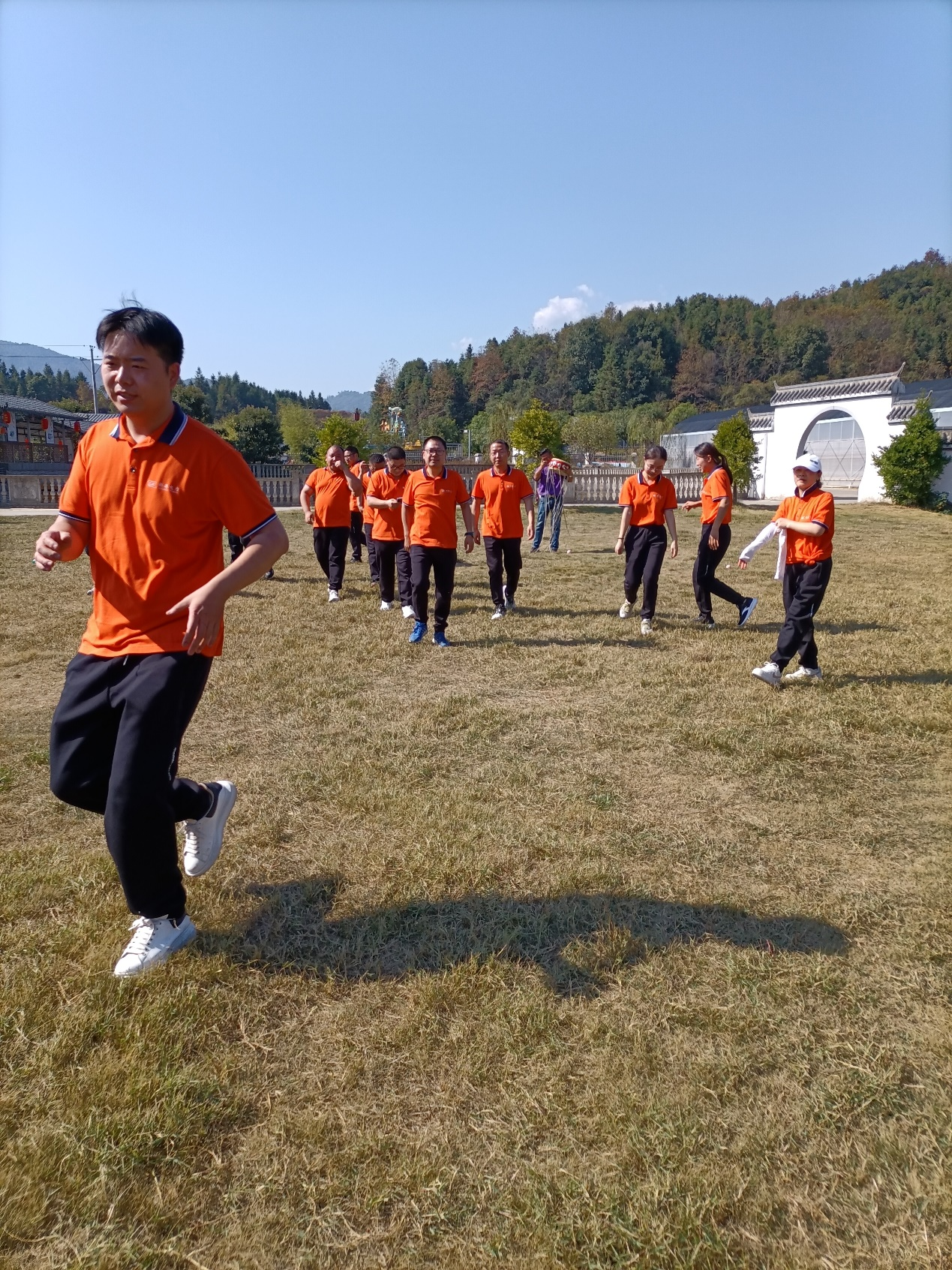 图十七 阳光下奔走